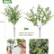 8-Pack Artificial Greenery Stems – Fake Eucalyptus and Boxwood Plants for Farmhouse, Bathroom, Office, Vase Centerpiece, Indoor & Outdoor Decoration (Dusty Green)